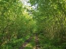 Route des Prés Biottes